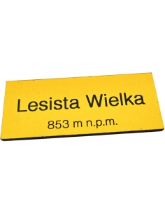 Magnes drewniany szczyt LESISTA WIELKA Góry Kamienne