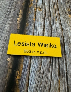 Magnes drewniany szczyt LESISTA WIELKA Góry Kamienne 2