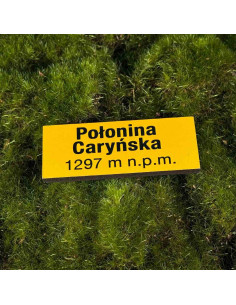 Magnes drewniany tabliczka POŁONINA CARYŃSKA Bieszczady 2